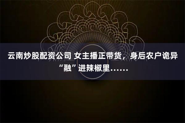 云南炒股配资公司 女主播正带货，身后农户诡异“融”进辣椒里……