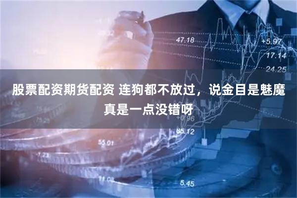 股票配资期货配资 连狗都不放过，说金目是魅魔真是一点没错呀